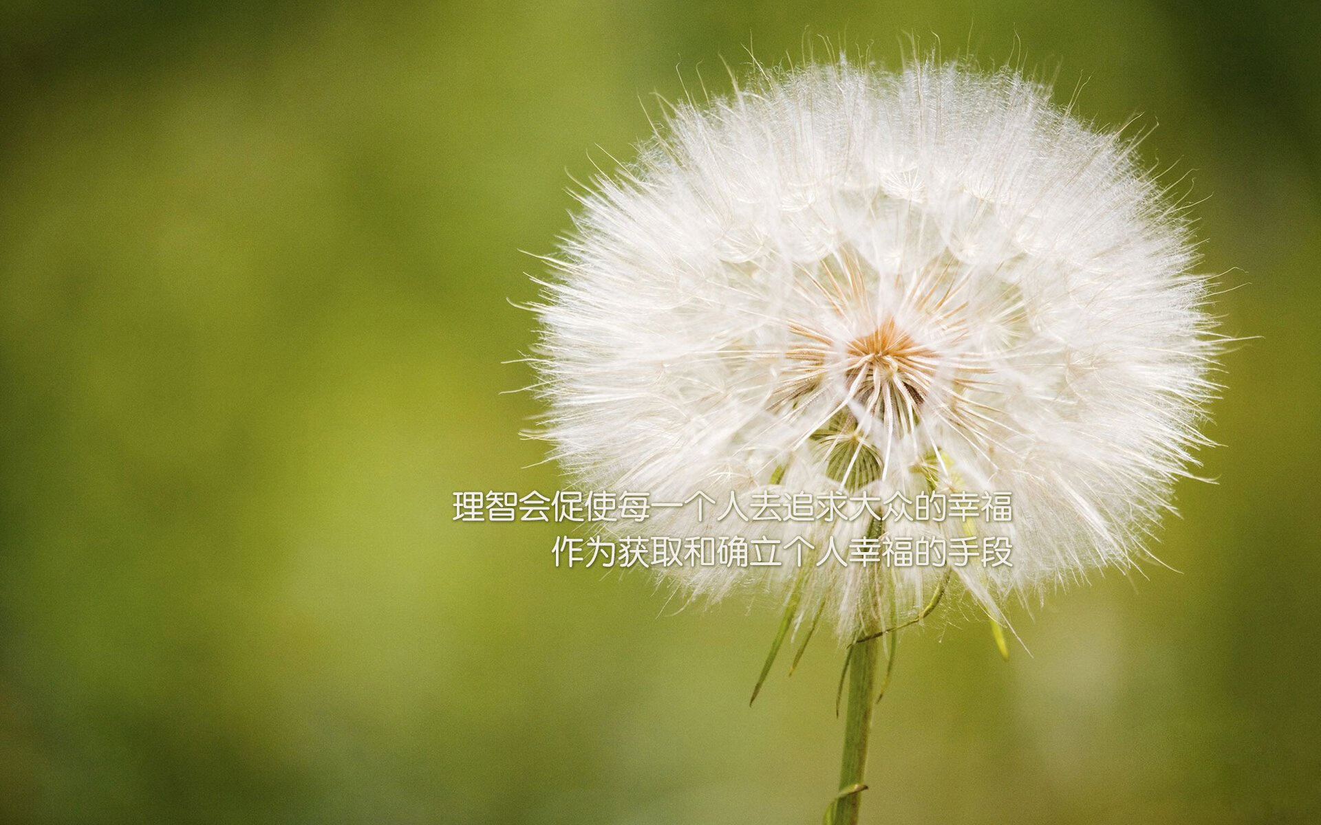 开云APP-亚冠赛事落地宣传活动提升本地足球热度，足球 亚冠