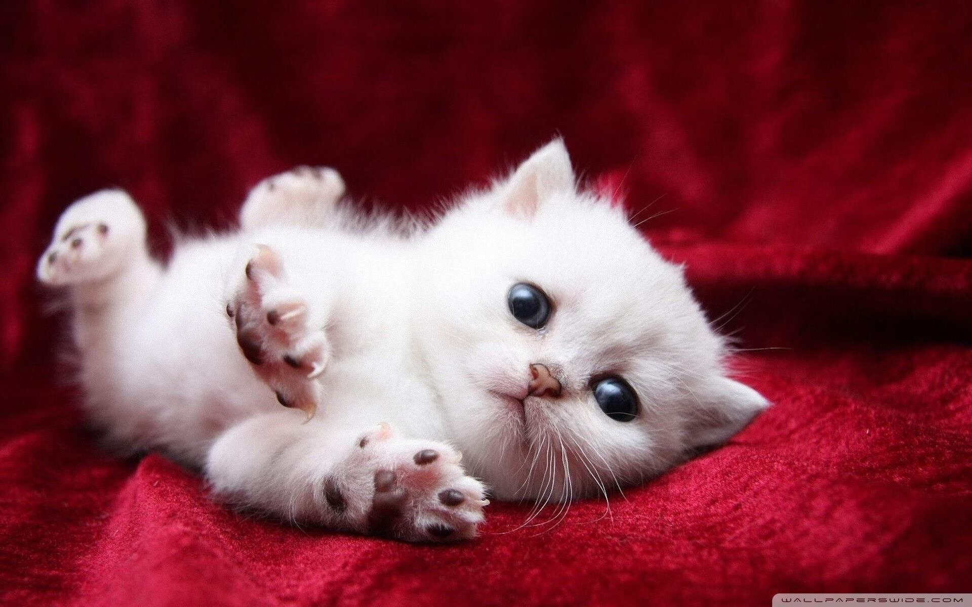 KAIYUNAPP-南特保持边中连线打出有效配合